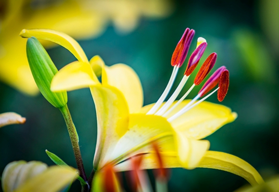 石头记——读沂蒙老杆(翟小锋)的摄影集《大地母亲的恩赐》