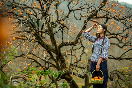 石头记——读沂蒙老杆(翟小锋)的摄影集《大地母亲的恩赐》