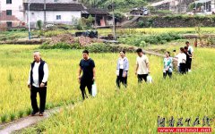 傲迪玛汽车董事会主席胡武安携手湖南省慈善总会“
